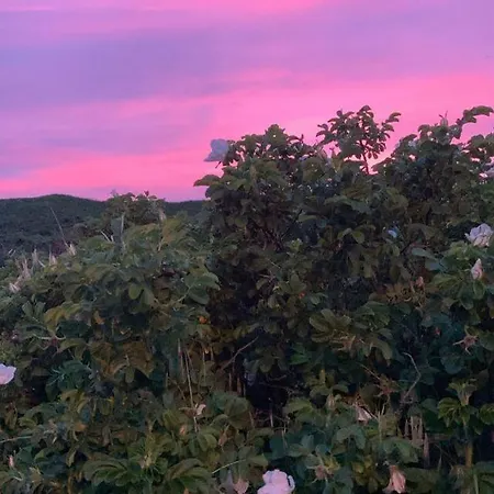 公寓 Haus Morelia 韦斯特兰