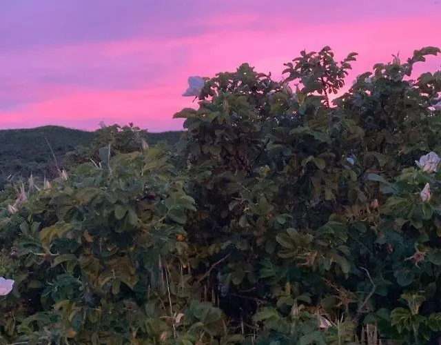 Апартаменты Haus Morelia Вестерланд