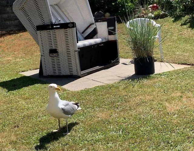 Haus Morelia * Вестерланд